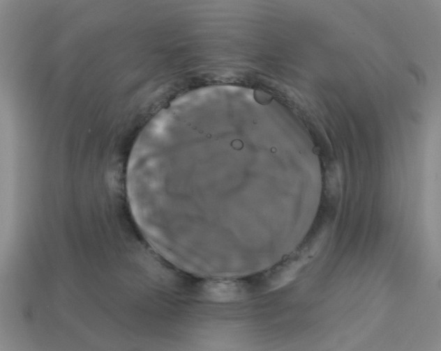 X0000113180181200910021550