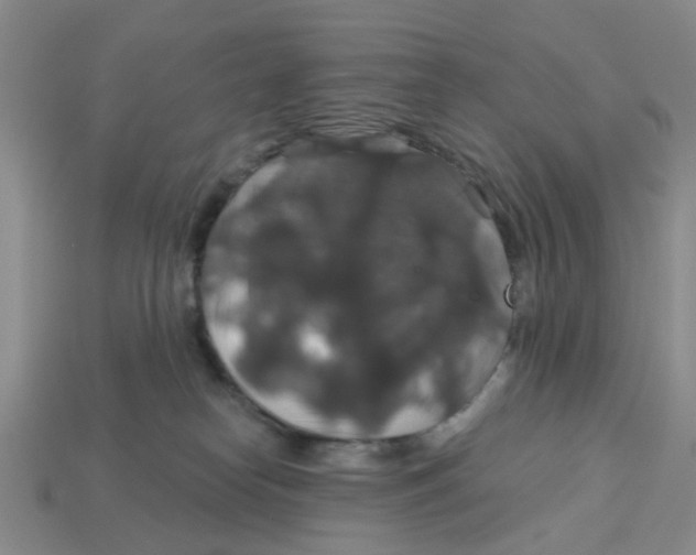 X0000113180182200910021550