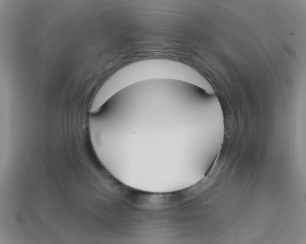 X0000113180184200910021550