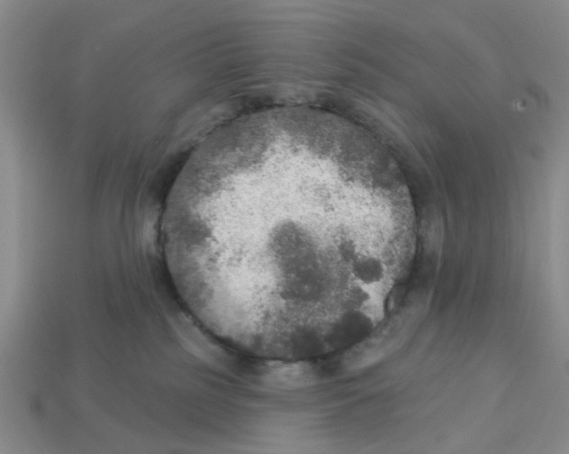 X0000113180185200910021550
