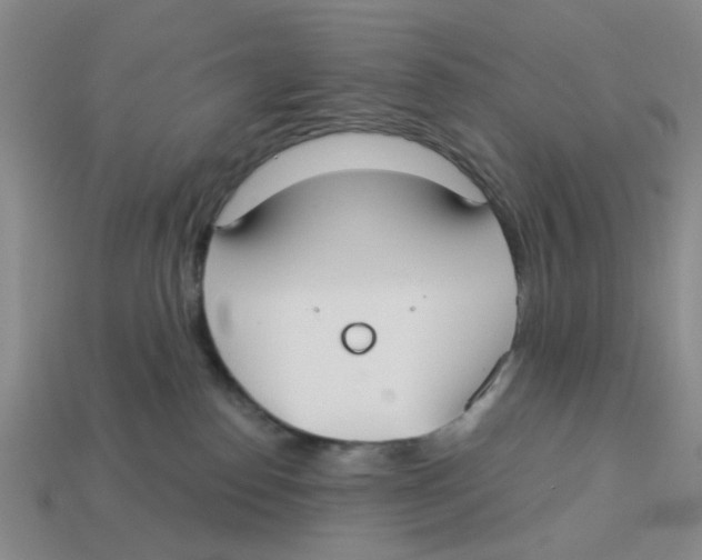 X0000113180186200910021550