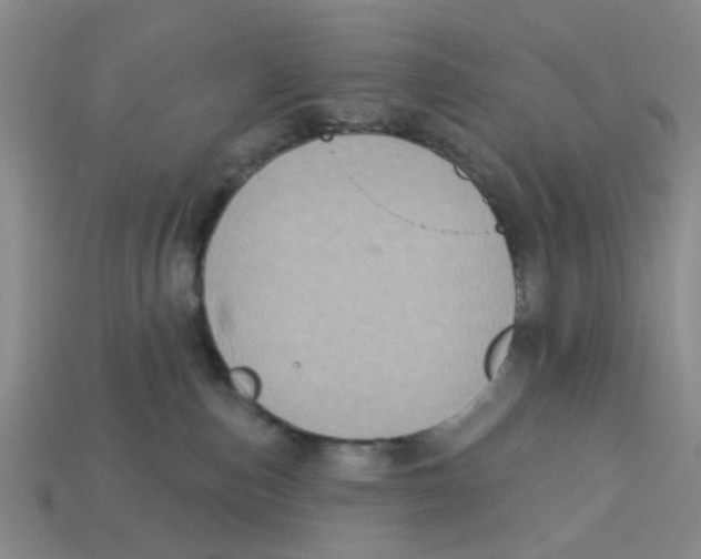 X0000113180187200910021550