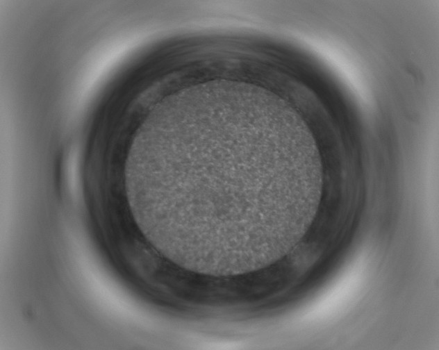 X0000113180189200910021550