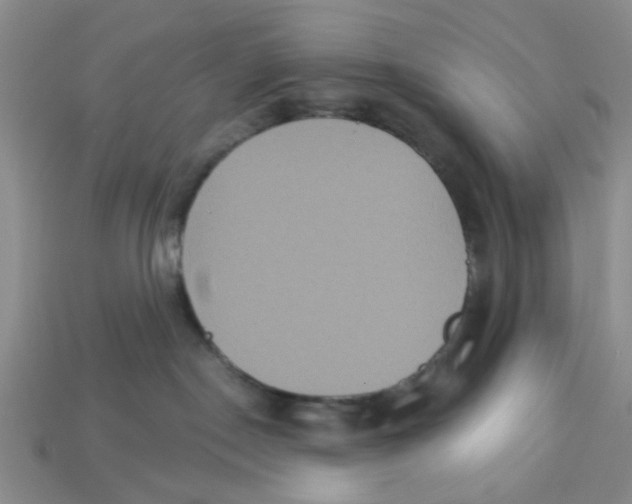 X0000113180190200910021550