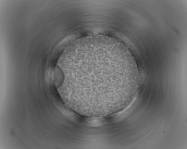 X0000113180191200910021550