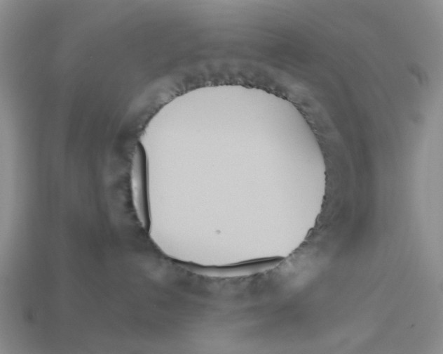 X0000113180192200910021550