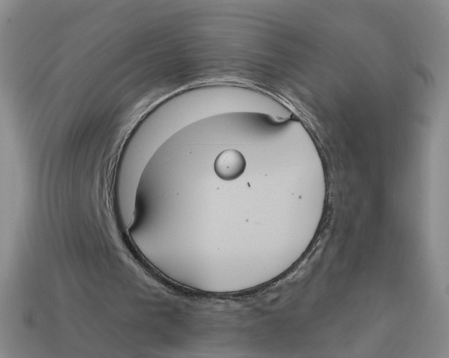 X0000113180193200910021550