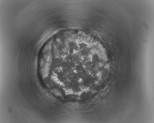 X0000113180194200910021550