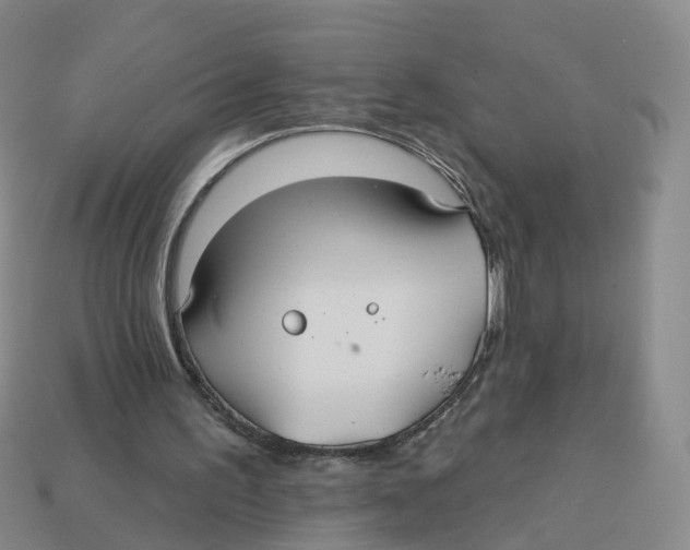 X0000113180195200910021550