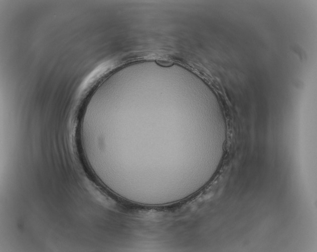 X0000113180197200910021550