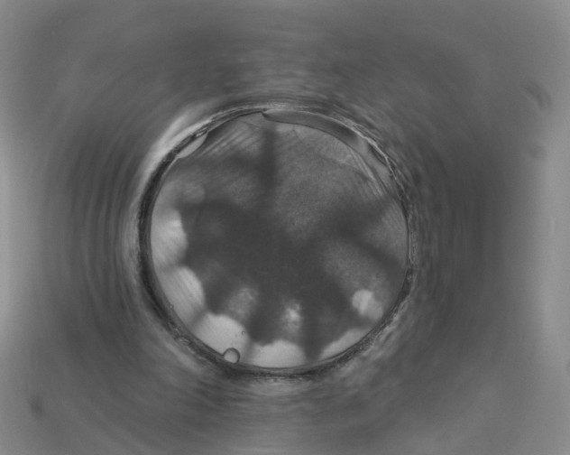 X0000113180198200910021550