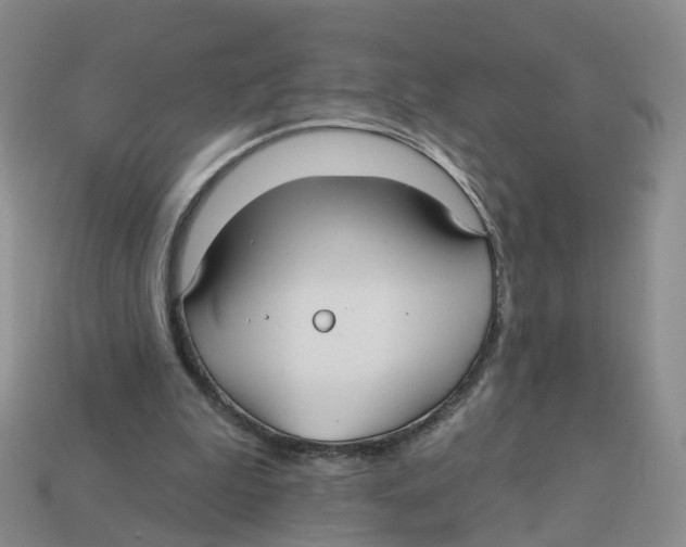 X0000113180199200910021550