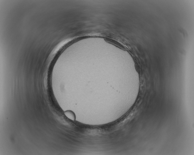 X0000113180200200910021550
