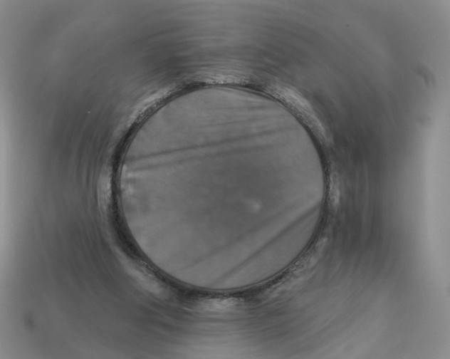 X0000113180202200910021550