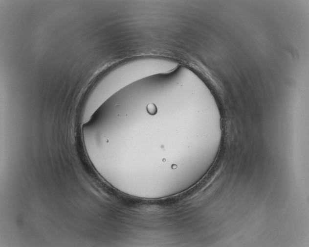 X0000113180203200910021550