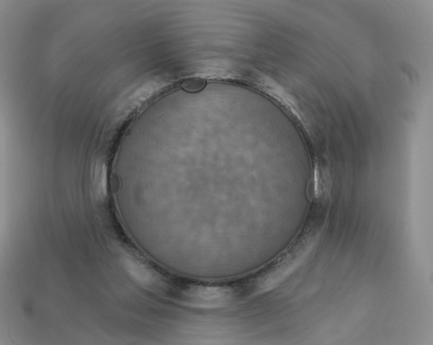 X0000113180205200910021550
