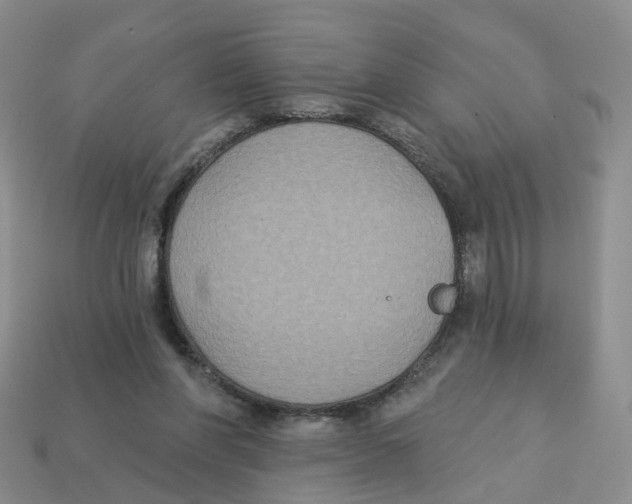 X0000113180206200910021550
