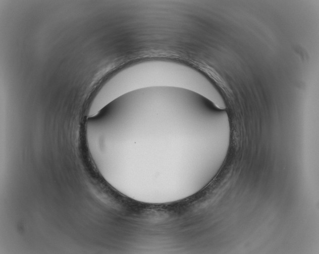 X0000113180207200910021550