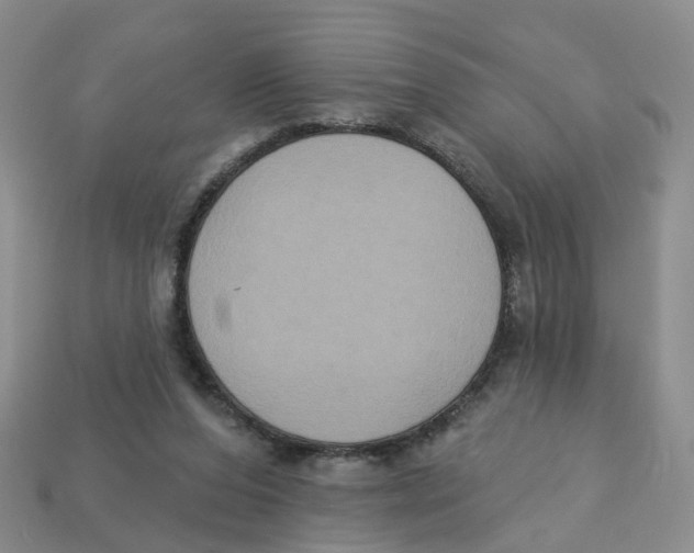 X0000113180208200910021550