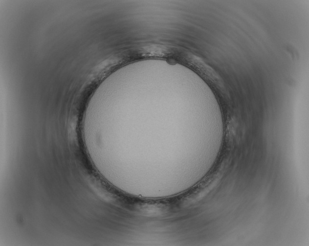 X0000113180209200910021550