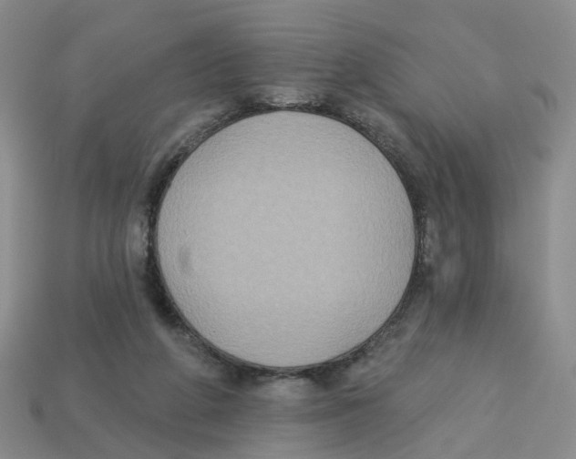 X0000113180210200910021550