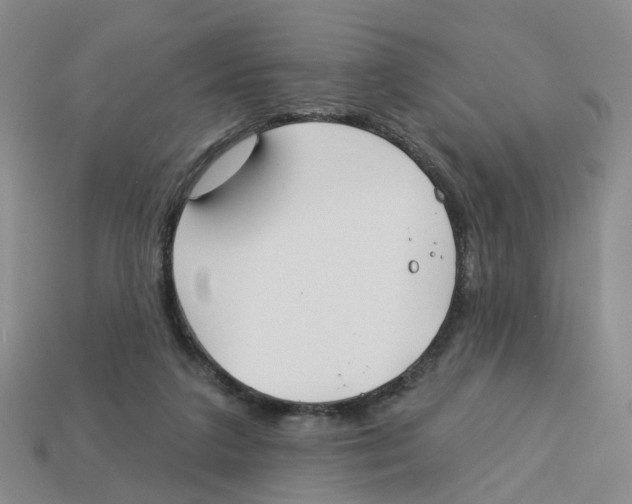 X0000113180211200910021550