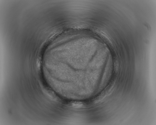 X0000113180214200910021550