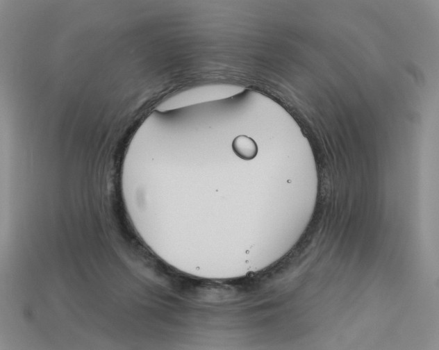 X0000113180215200910021550