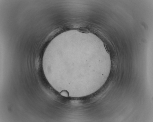 X0000113180216200910021550