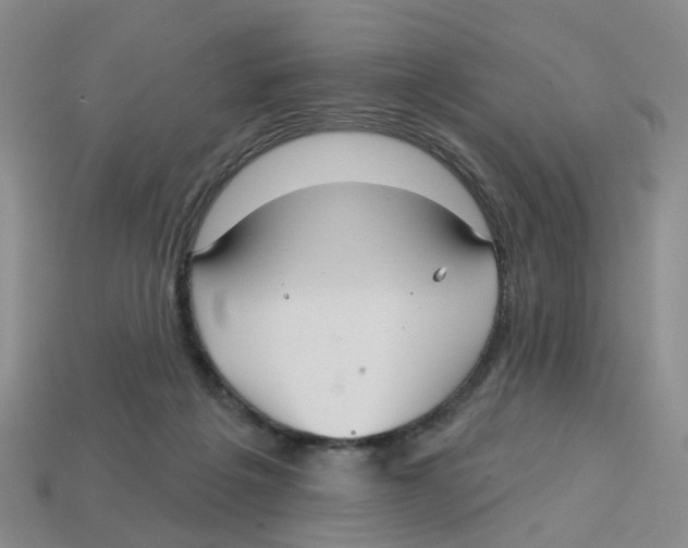 X0000113180217200910021550