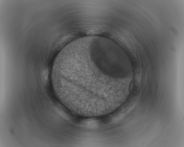 X0000113180219200910021550