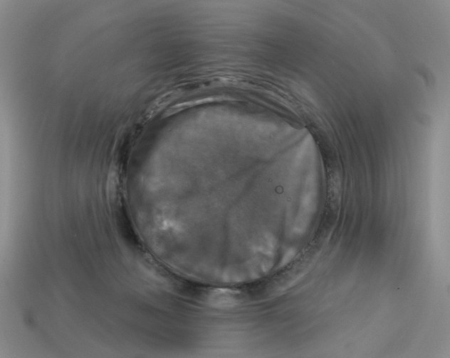 X0000113180222200910021549