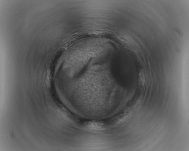 X0000113180223200910021549