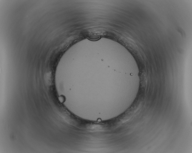 X0000113180224200910021549