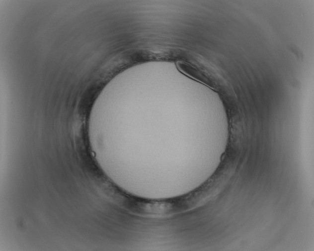 X0000113180225200910021549