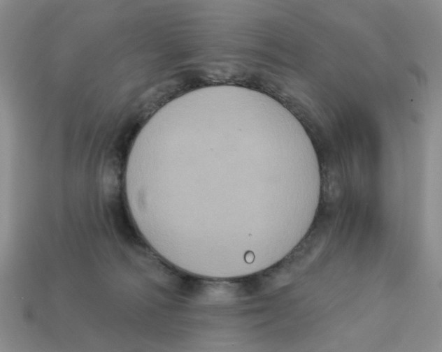 X0000113180226200910021549
