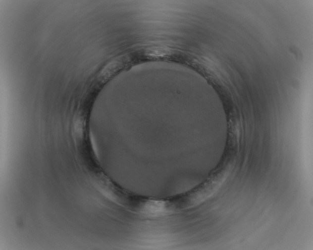 X0000113180227200910021549