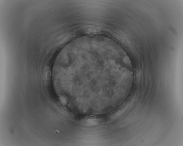 X0000113180228200910021549