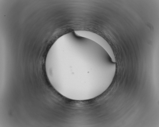 X0000113180229200910021549