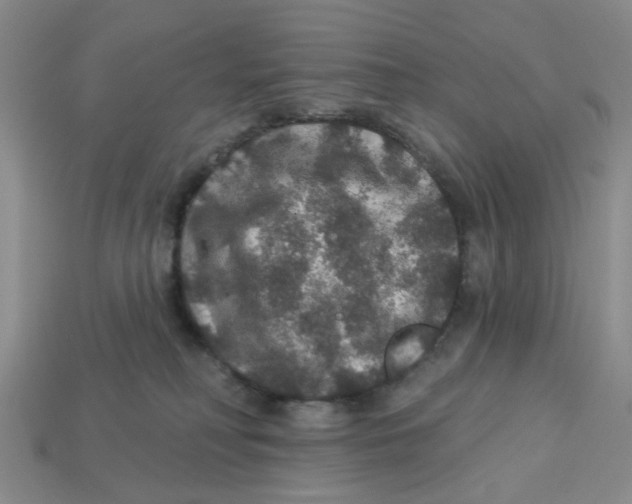 X0000113180230200910021549