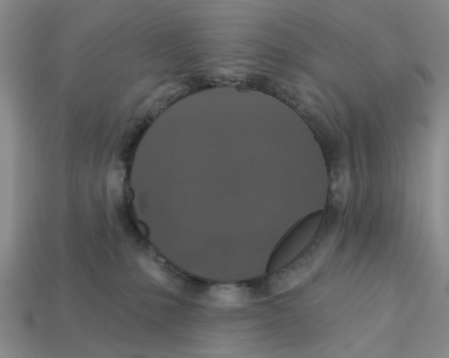X0000113180231200910021549