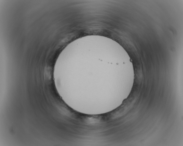 X0000113180232200910021549