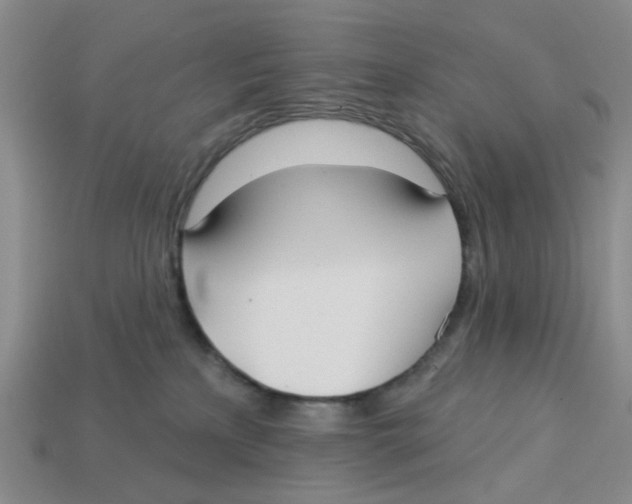 X0000113180233200910021549