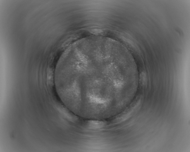 X0000113180234200910021549
