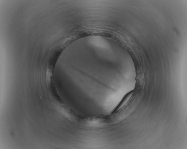 X0000113180235200910021549