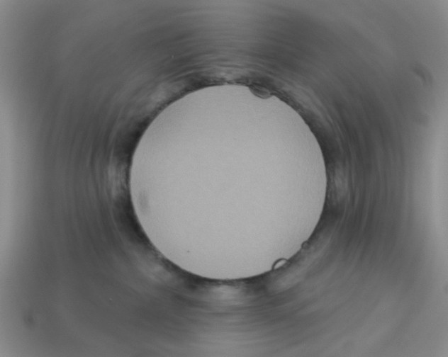X0000113180236200910021549