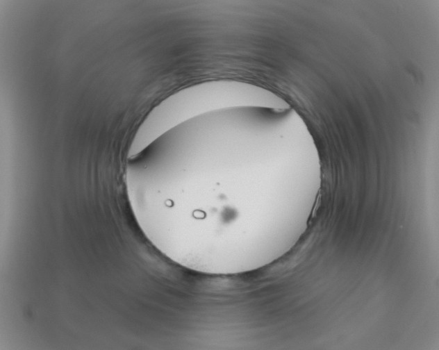 X0000113180237200910021549