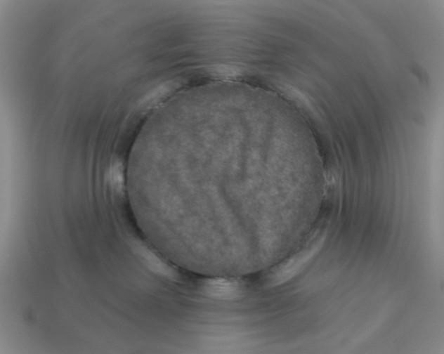 X0000113180238200910021549