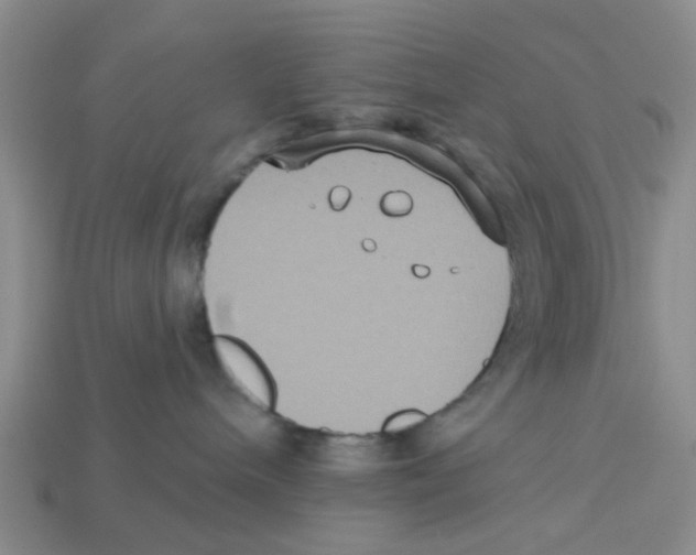 X0000113180240200910021549