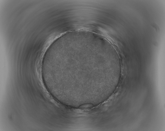 X0000113180241200910021549